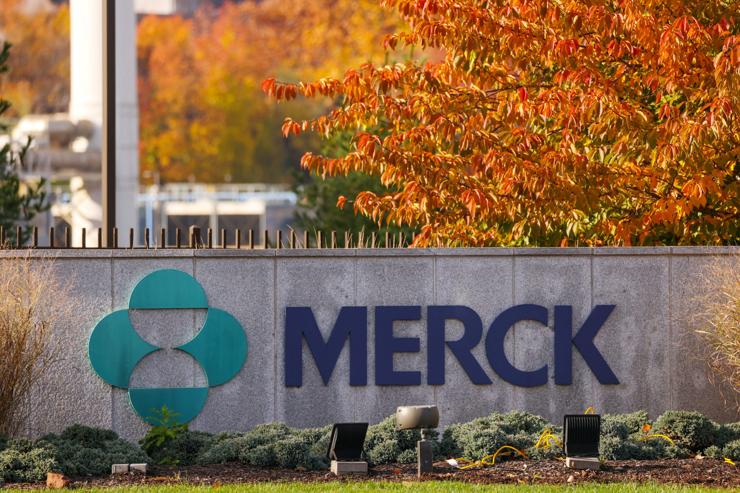 Investor Panic Erupts After Merck's nyse Mrk Gardasil Sales Dip in China Market