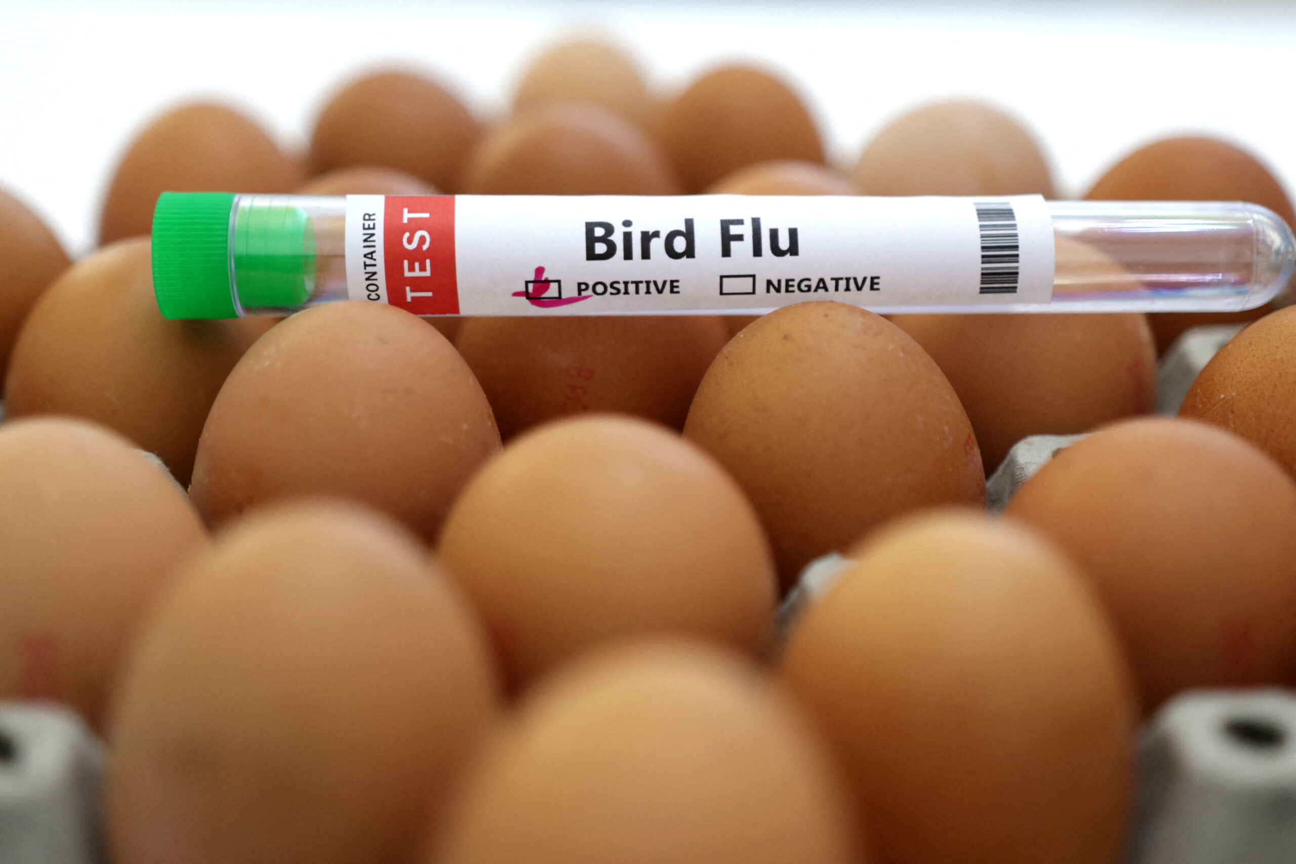 Sanofi Gsk Csl Secure Million Funding to Expand Us Bird Flu Vaccine Supply