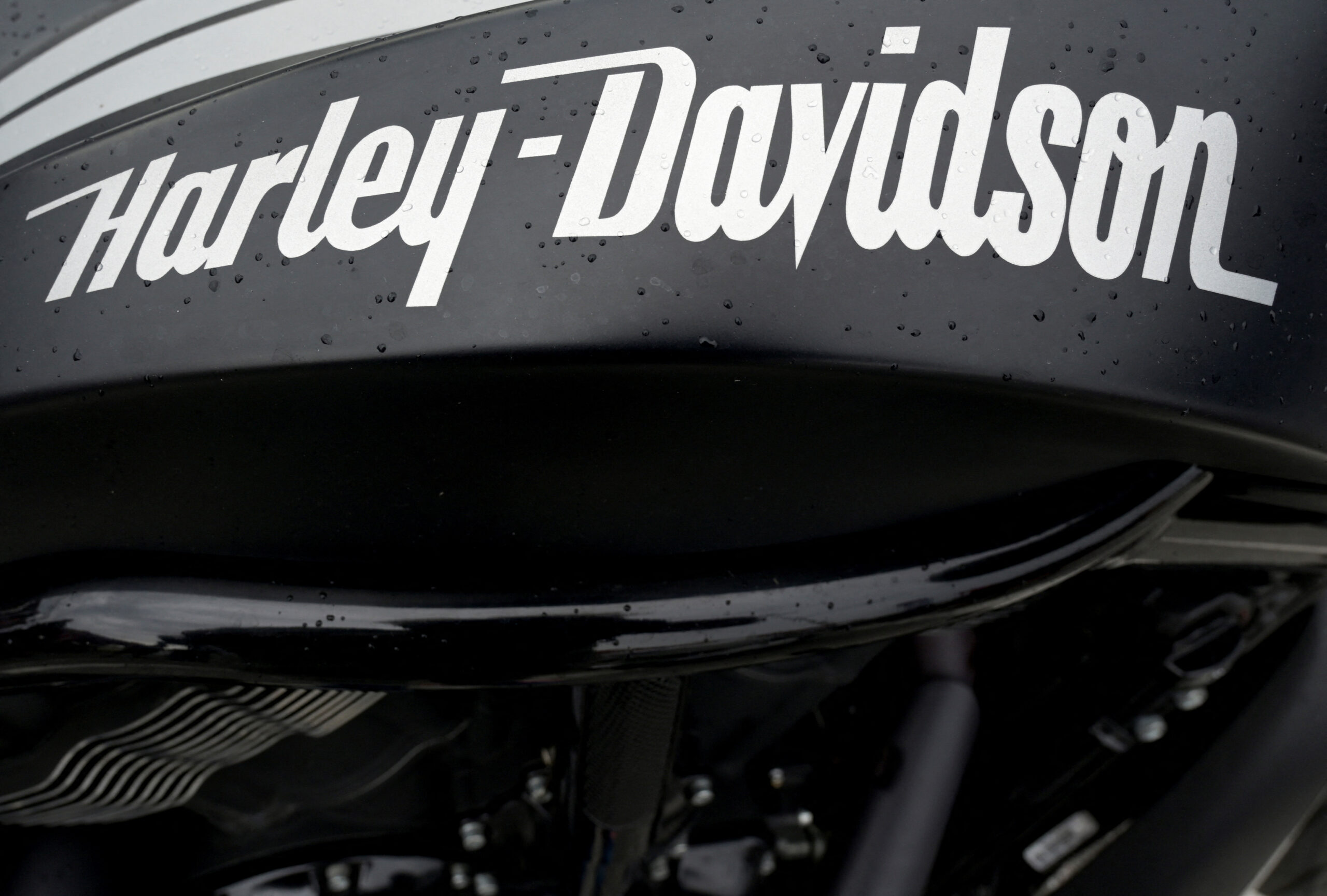 Harley davidson nyse Hog Cuts 2024 Revenue Forecast on Weak Demand