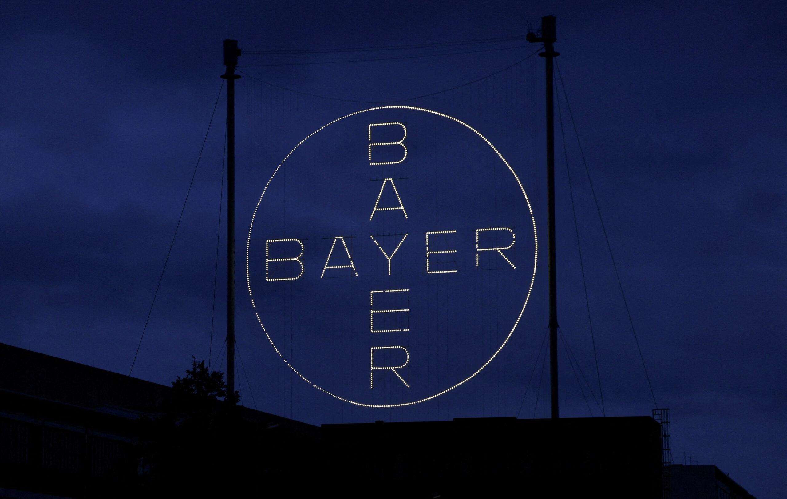 Bayer Acquires Rights to Cytokinetics' Heart Drug in Japan