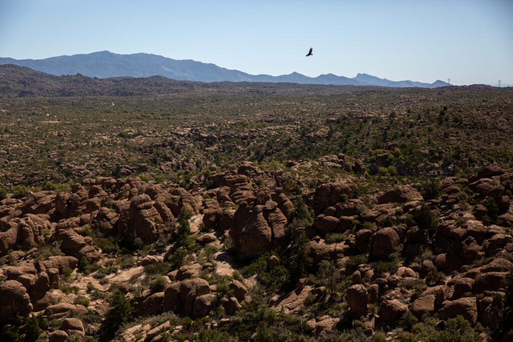 Rio Tinto Executive Urges Trump Administration to Expedite Permitting